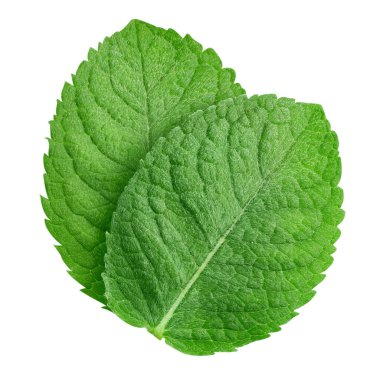 Nane yaprakları beyaz arka planda izole. Nane kırpma yolu. Yemek fotoğrafçılığı