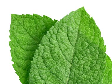 Nane yaprakları beyaz arka planda izole. Nane kırpma yolu. Yemek fotoğrafçılığı