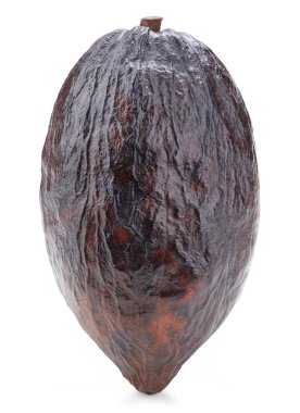 Kakao meyve kabuğu beyaz arka planda izole edilmiş. Kakao kapsülü kırpma yolu ile izole edildi. Projen için kaliteli fotoğraf.