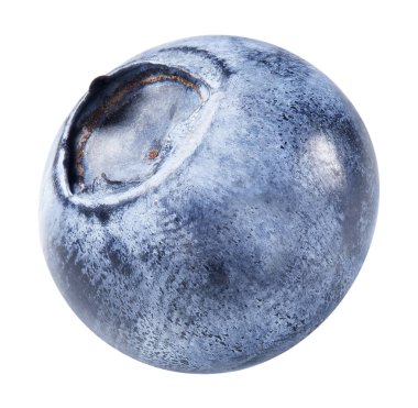 Beyaza izole edilmiş yabanmersini. Olgun yaban mersini kırpma yolu.