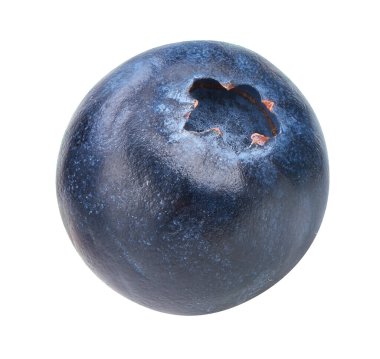 Beyaza izole edilmiş yabanmersini. Olgun yaban mersini kırpma yolu.