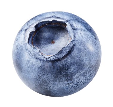 Beyaza izole edilmiş yabanmersini. Olgun yaban mersini kırpma yolu.