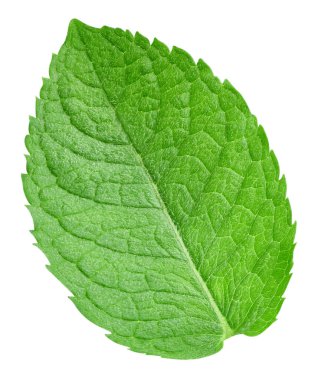Nane yaprakları beyaz arka planda izole. Nane kırpma yolu. Yemek fotoğrafçılığı