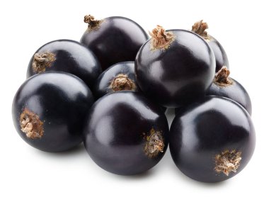 Siyah kuşüzümü Kırpma Yolu. Frenk üzümlü makro fotoğraf. Beyaz arkaplanda siyah frenk üzümü izole edildi.