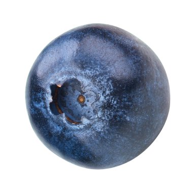 Beyaza izole edilmiş yabanmersini. Olgun yaban mersini kırpma yolu.