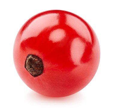 Frenk üzümü Kırpma Yolu. Frenk üzümlü makro fotoğraf. Beyaz arkaplanda kırmızı kuşüzümü izole edildi.