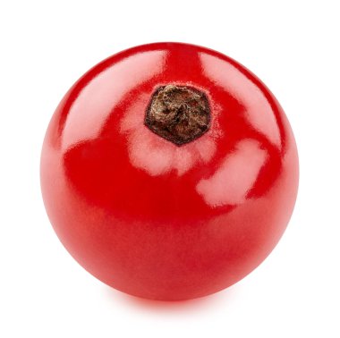 Frenk üzümü Kırpma Yolu. Frenk üzümlü makro fotoğraf. Beyaz arkaplanda kırmızı kuşüzümü izole edildi.