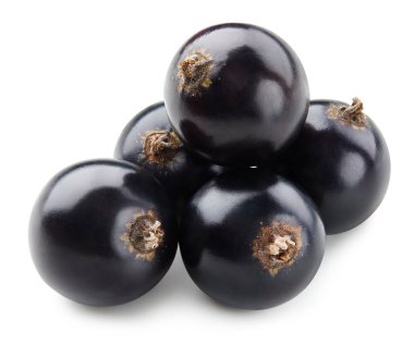 Siyah kuşüzümü Kırpma Yolu. Frenk üzümlü makro fotoğraf. Beyaz arkaplanda siyah frenk üzümü izole edildi.