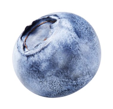 Beyaza izole edilmiş yabanmersini. Olgun yaban mersini kırpma yolu.