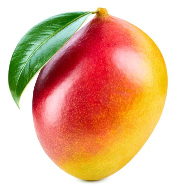 Mango beyaz arka planda izole edilmiş. Olgun mango kırpma yolu. Yapraklı mango.