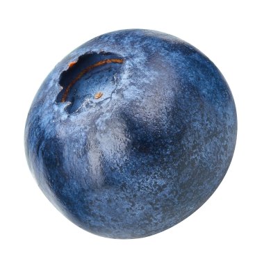 Beyaza izole edilmiş yabanmersini. Olgun yaban mersini kırpma yolu.