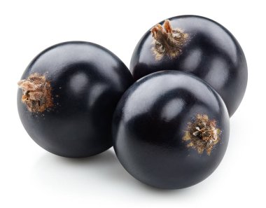 Siyah kuşüzümü Kırpma Yolu. Frenk üzümlü makro fotoğraf. Beyaz arkaplanda siyah frenk üzümü izole edildi.