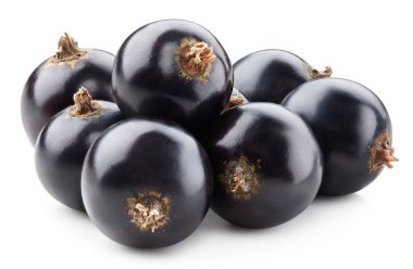 Siyah kuşüzümü Kırpma Yolu. Frenk üzümlü makro fotoğraf. Beyaz arkaplanda siyah frenk üzümü izole edildi.