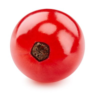 Frenk üzümü Kırpma Yolu. Frenk üzümlü makro fotoğraf. Beyaz arkaplanda kırmızı kuşüzümü izole edildi.