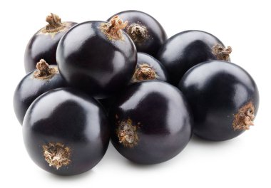 Siyah kuşüzümü Kırpma Yolu. Frenk üzümlü makro fotoğraf. Beyaz arkaplanda siyah frenk üzümü izole edildi.