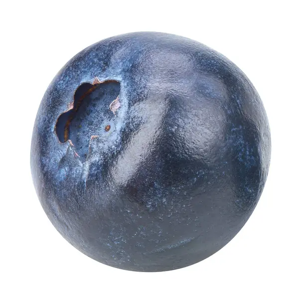 Beyaz arka planda kırpma yolu ile izole edilmiş bir yabanmersini. Projen için kaliteli fotoğraf.