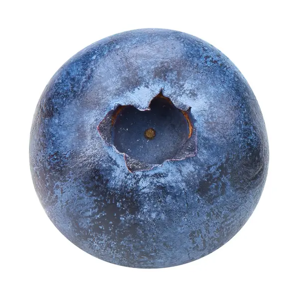 Beyaz arka planda kırpma yolu ile izole edilmiş bir yabanmersini. Projen için kaliteli fotoğraf.