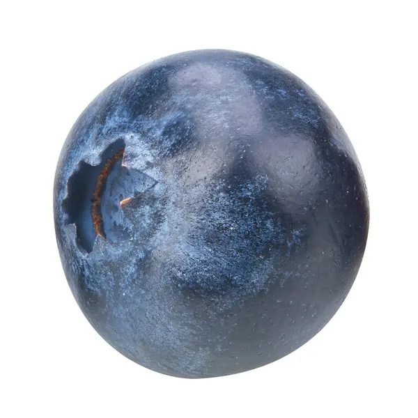 Beyaz arka planda kırpma yolu ile izole edilmiş bir yabanmersini. Projen için kaliteli fotoğraf.