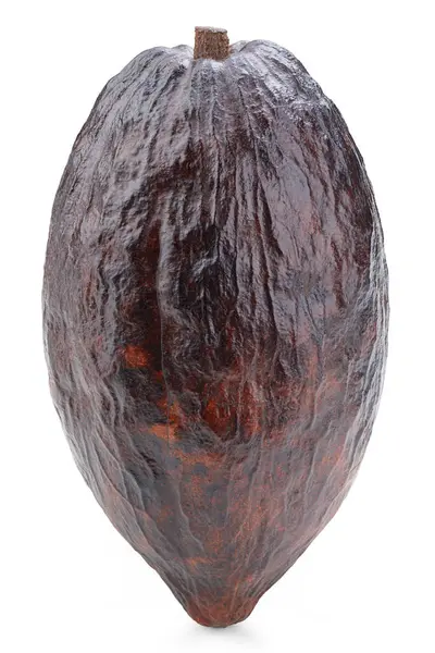 Kakao meyve kabuğu beyaz arka planda izole edilmiş. Kakao kapsülü kırpma yolu ile izole edildi. Projen için kaliteli fotoğraf.