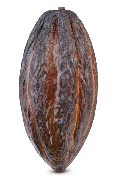 Beyaz arka planda izole edilmiş kakao kabuğu. Kırpma yolu olan kakao kabuğu