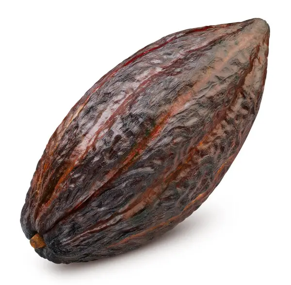 Kakao dolu makro çekim kırpma yolu. Beyaz arka planda izole edilmiş kakao kabuğu. Kırpma yolu olan kakao kabuğu