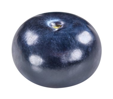 Böğürtlen beyazı. Bir yabanmersini kırpma yolu. Taze taze yaban mersini