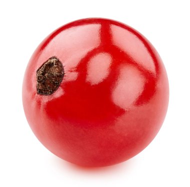 Frenk üzümü Kırpma Yolu. Frenk üzümlü makro fotoğraf. Beyaz arkaplanda kırmızı kuşüzümü izole edildi.