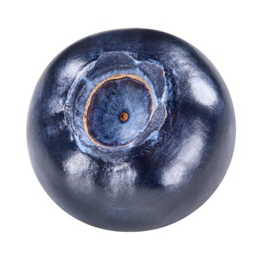 Böğürtlen beyazı. Bir yabanmersini kırpma yolu. Taze taze yaban mersini