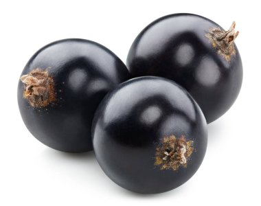 Siyah kuşüzümü Kırpma Yolu. Frenk üzümlü makro fotoğraf. Beyaz arkaplanda siyah frenk üzümü izole edildi.