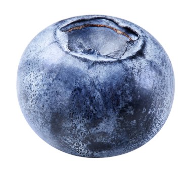 Beyaza izole edilmiş yabanmersini. Olgun yaban mersini kırpma yolu.