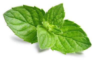 Beyaz arkaplan kırpma yolunda nane izole edildi. Yeşil Nane Yaprakları