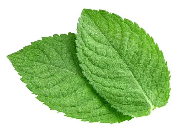Mint Leaves Isolated White Background Mint Clipping Path Food Photography — Stock Photo, Image