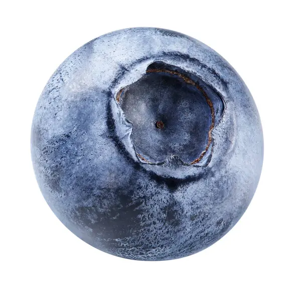 Beyaza izole edilmiş yabanmersini. Olgun yaban mersini kırpma yolu.