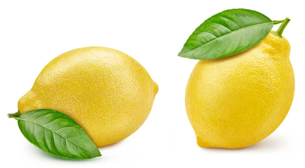 Lemon Close White Background Collection Lemon Fresh Organic Lemon — Stock Photo, Image