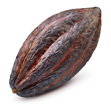 Beyaz arka planda izole edilmiş kakao kabuğu. Kakao dolu makro çekim kırpma yolu. Kırpma yolu olan kakao kabuğu