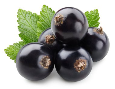 Yapraktan yaprak izole edilmiş bir avuç siyah frenk üzümü. Siyah kuşüzümü kırpma yolu.