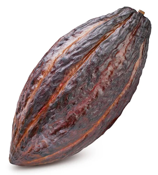 Cabillaud Cacao Cabillaud Cacao Isolé Sur Fond Blanc Haricot Cacao — Photo