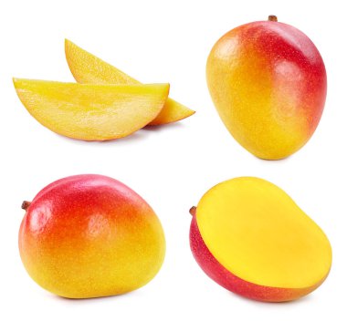 Mango koleksiyonu beyaz arka planda izole edildi. Mango meyve kesme yolu. Mango makro stüdyo fotoğrafı