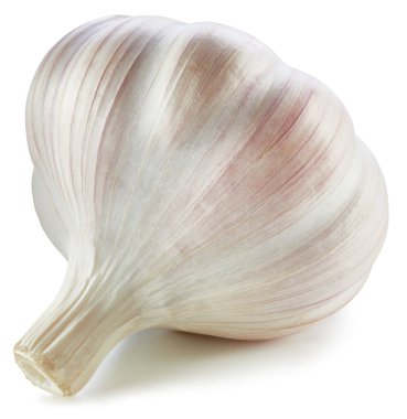 Sarımsak toplama yolu. Beyaza izole edilmiş taze organik sarımsak. Tam alan derinliği