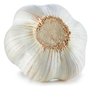 Sarımsak toplama yolu. Beyaza izole edilmiş taze organik sarımsak. Tam alan derinliği