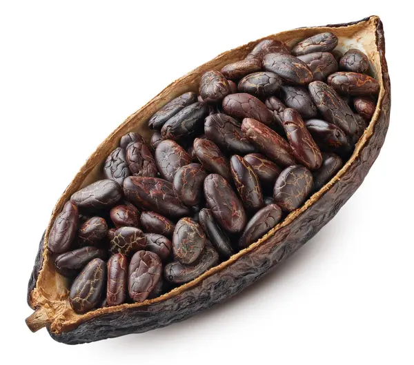 Kakaoschote Und Kakaobohnen Auf Weißem Hintergrund Kakaobohne Mit Schnittpfad — Stockfoto