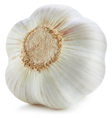 Sarımsak beyaz arka planda izole edilmiş. Sarımsak toplama yolu. Stüdyo makro çekimi