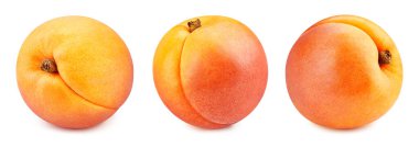 Kayısı koleksiyonu. Kırpma yolu beyaz arkaplanda izole edilmiş kayısı. Taze organik kayısı. Tam alan derinliği