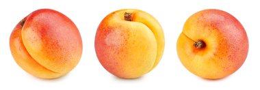 Kayısı koleksiyonu. Kırpma yolu beyaz arkaplanda izole edilmiş kayısı. Taze organik kayısı. Tam alan derinliği