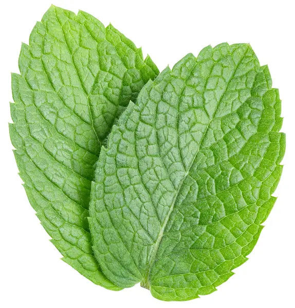 Mint Clipping Path Organic Fresh Mint Leaves Isolated White Full — Stock Photo, Image