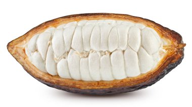 Beyaz arka planda kakao kabuğu ve kakao çekirdeği. Kesme yolu olan kakao çekirdeği.