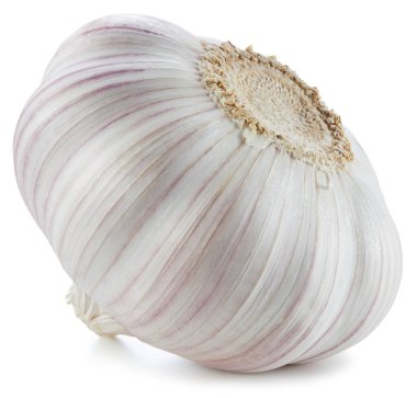 Sarımsak soğanı kesme yolu. Beyaza izole edilmiş taze organik sarımsak. Tam alan derinliği