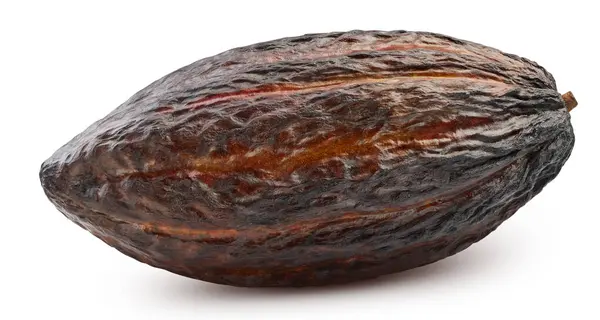 Haricot Cacao Avec Chemin Coupe Morceaux Cacao Isolés Sur Fond — Photo