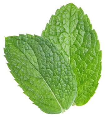 Beyaz arka planda naneli ya da nane yapraklı. Nane kırpma yolu. Naneli makro stüdyo fotoğrafı.