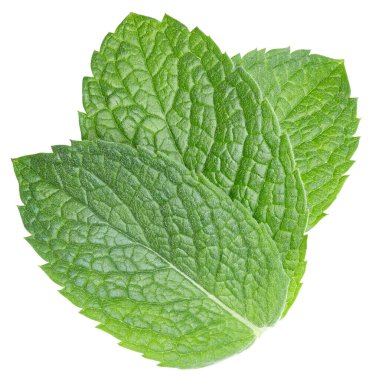 Nane yaprakları beyaza izole edilmiş. Üç nane yaprağı kırpma yolu. Naneli makro stüdyo fotoğrafı.